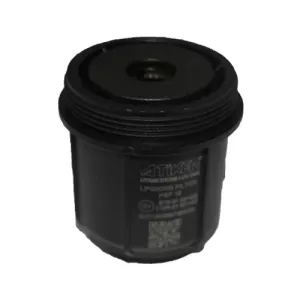 Asumgaz Filtre PSF Alt Filtre